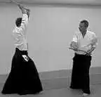 CHUDAN � nuki tsuke.