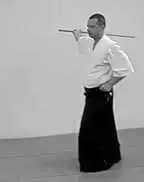 CHUDAN � chiburi, stepping back.