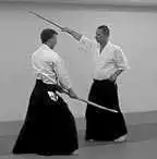 JODAN � cut through.