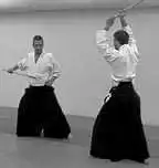 TSUKI � sword to side.