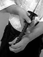 NOTO KAITEN � shift grip.