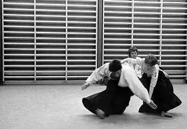 J&auml;rf&auml;lla 1973. Foto: Stefan Stenudd.