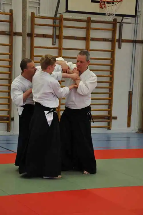 Gubb�ngen aikido seminar 2010.