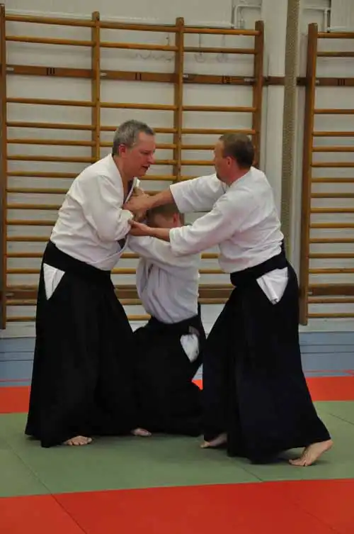 Gubb�ngen aikido seminar 2010.