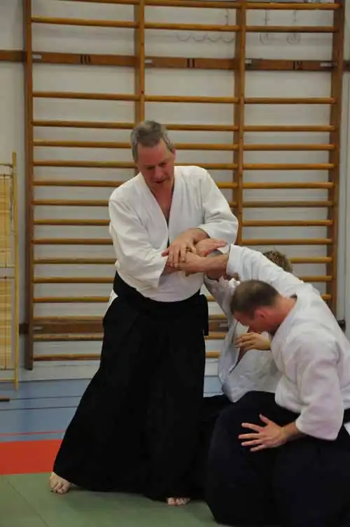 Gubb�ngen aikido seminar 2010.