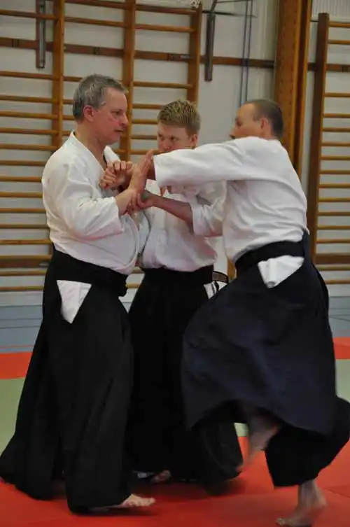 Gubb�ngen aikido seminar 2010.