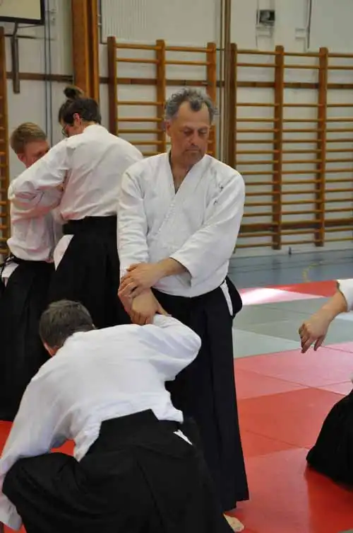 Gubb�ngen aikido seminar 2010.