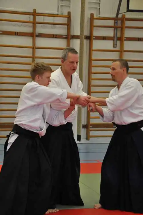 Gubb�ngen aikido seminar 2010.
