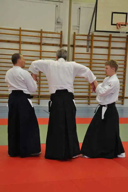 Gubb�ngen aikido seminar 2010.
