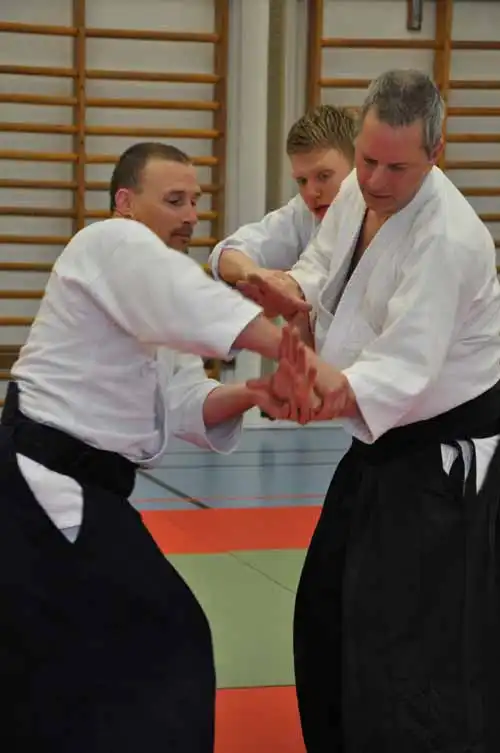 Gubb�ngen aikido seminar 2010.
