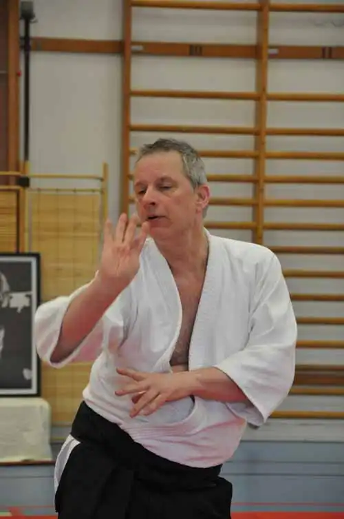 Gubb�ngen aikido seminar 2010.