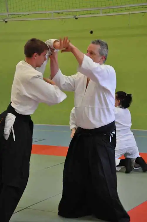 Gubb�ngen aikido seminar 2010.