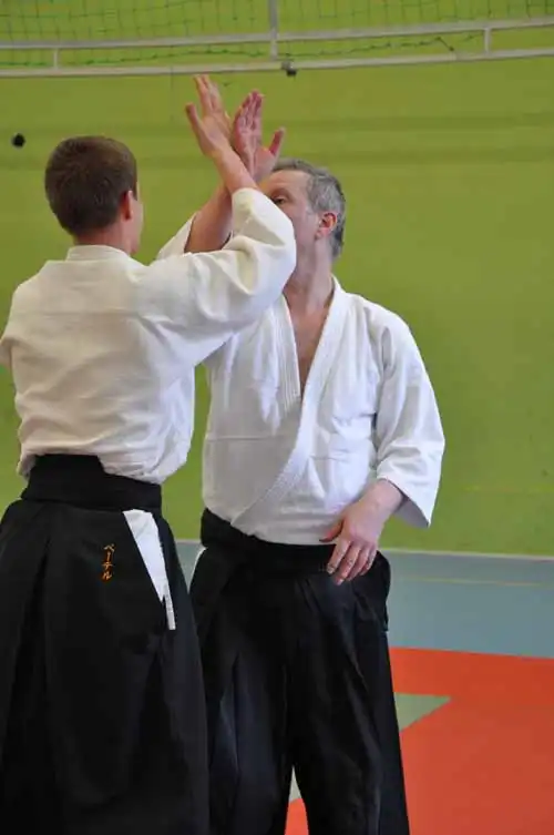 Gubb�ngen aikido seminar 2010.