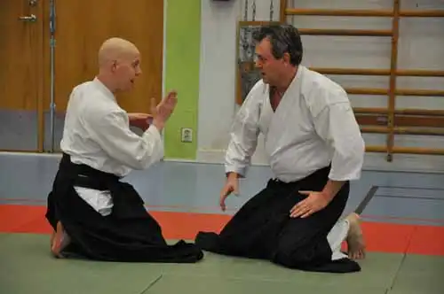 Gubb�ngen aikido seminar 2010.