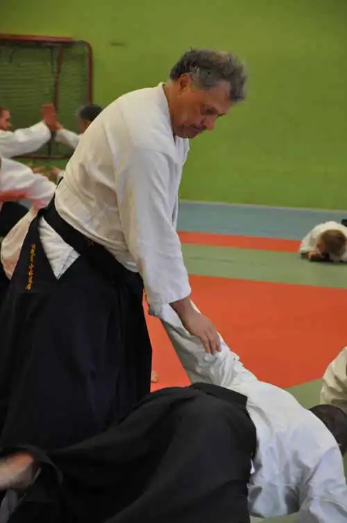 Gubb�ngen aikido seminar 2010.