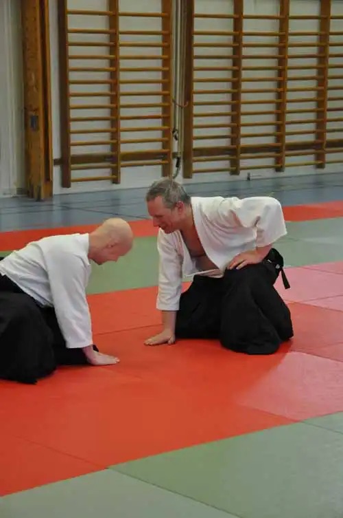 Gubb�ngen aikido seminar 2010.
