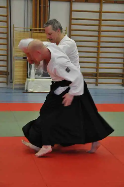 Gubb�ngen aikido seminar 2010.