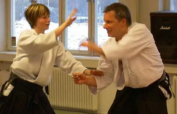 Aikido � J&ouml;nk&ouml;ping 2004