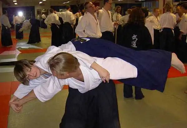 Aikido � J&ouml;nk&ouml;ping 2004