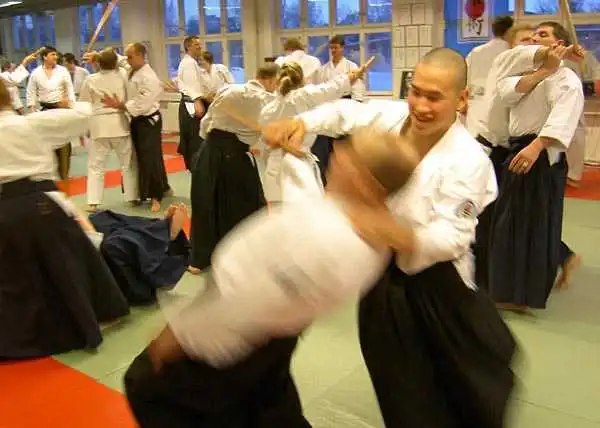 Aikido � J&ouml;nk&ouml;ping 2004
