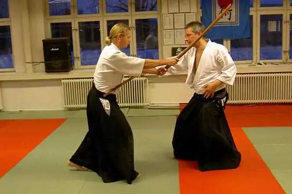 Aikido � J&ouml;nk&ouml;ping 2004