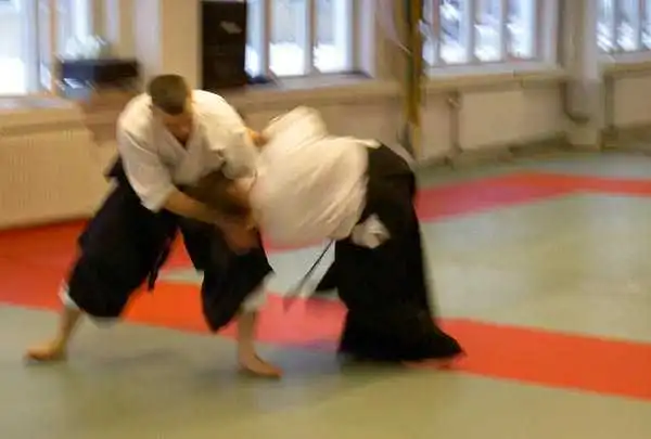 Aikido � J&ouml;nk&ouml;ping 2004
