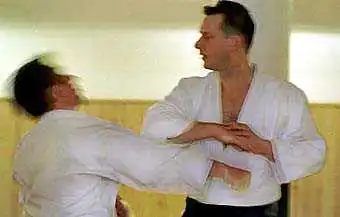 Aikido � Sverige: atemi