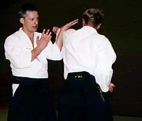Aikido � Sverige: block