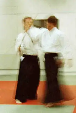 Aikido � Ghosts at Enighet.