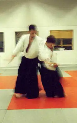 Aikido � Ghosts at Enighet.