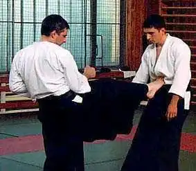 Aikido � Czech: maegeri