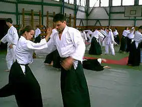 Aikido � Lucenec 2000.