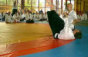 Aikido � Plzen 2000.