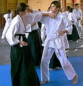 Aikido � Plzen 2000.