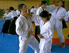 Aikido � Plzen 2000.