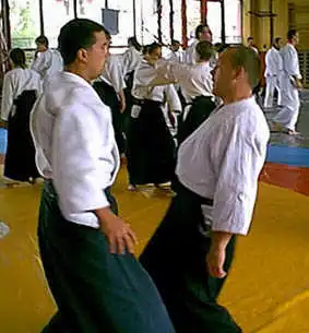 Aikido � Plzen 2000.