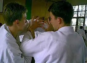 Aikido � Plzen 2000.