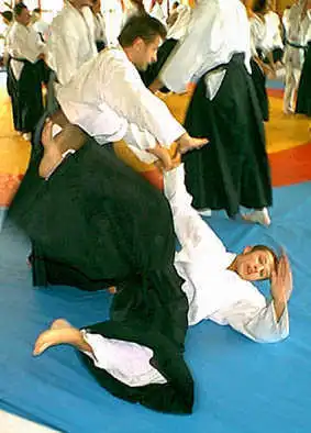Aikido � Plzen 2000.