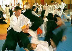 Aikido � Plzen 2000.