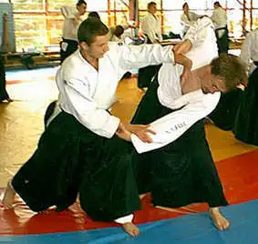 Aikido � Plzen 2000.