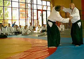 Aikido � Plzen 2000.