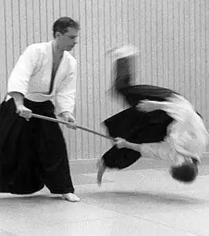Aikido � V&auml;nn&auml;s: jodori