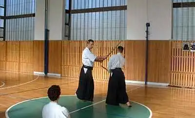Aikido � Zlin 2000