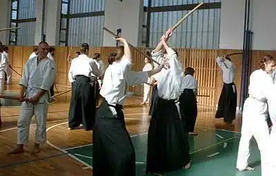 Aikido � Zlin 2000