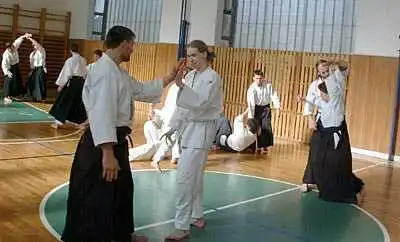 Aikido � Zlin 2000