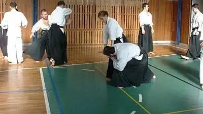 Aikido � Zlin 2000