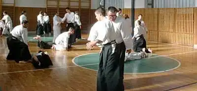 Aikido � Zlin 2000