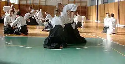 Aikido � Zlin 2000