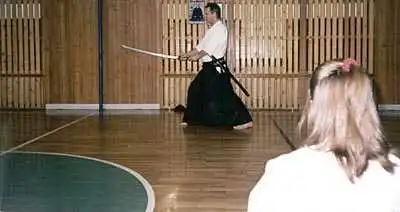 Aikido � Zlin 2000