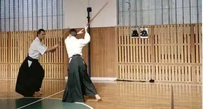 Aikido � Zlin 2000